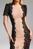 Garina Lace Fitted Dress