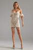 Lauren Off Shoulder Woven Pleated Mini Dress