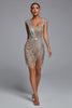 Sedaya Glitter Mesh Mini Dress - Silver