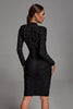 Winry Long Sleeve Mesh Bandage Dress - Black